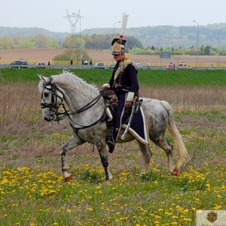 Inscenizacja 2-giej bitwy. Pałąc Struga_13.05.2017